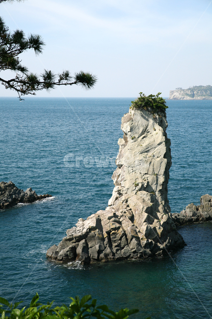 cloud,sky,ocean,Jeju,Oedolgae,tree,Seogwipo City,Jeju sea,rocky island