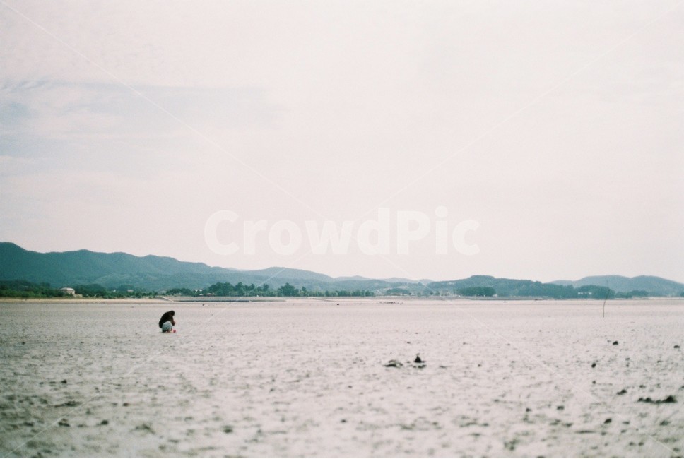 서천,바다,갯벌,혼자,하늘,sea,foreshore,sky,필름카메라사진
