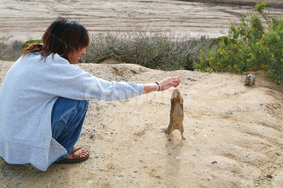 squirrel,fun,재미,신기,다람쥐,땅다람쥐,신남,동물,animal,포유류,mammal,사람,인물,인간,human,person,남성,남자,man,male