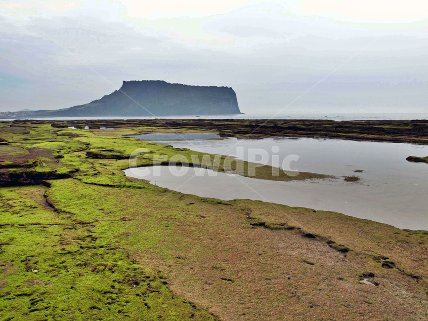 성산일출봉,광치기해변,올레2코스,제주,서귀포시,명승지,관광지,자연,풍경,nature,landscape,한국자연풍경,한국자연경관,korea nature landscape,제주도,jeju,jeju island,outdoors,옥외,land,땅
