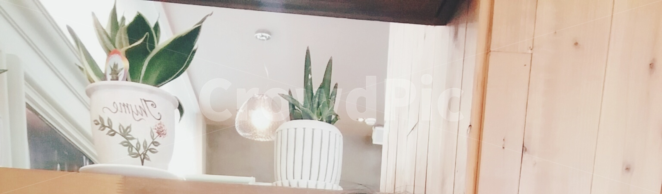 감성,감성사진,분위기,화분,조명,배경,배경화면,lighting,flowerpot,background,mood