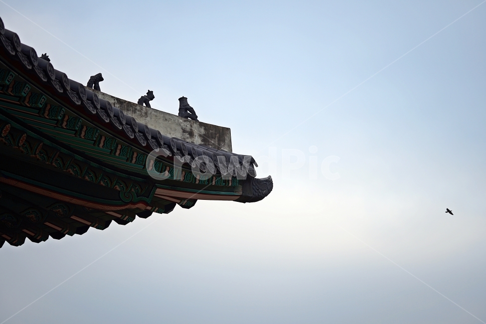 창경궁,창덕궁,경복궁,한옥,궁,한국전통,한국문화,korean traditional,korean culture,건축물,건물외관,exterior,building,structure,architecture,construction
