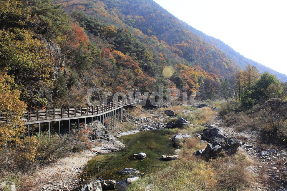 가을,단풍,풍경,산맥,산,등산,등산로,다채로운,낙엽,주황색,초록색,나무