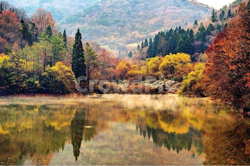 화순,세량지,가을,단풍,물안개,가을,계절,fall,autumn,season,자연,풍경,nature,landscape,한국자연풍경,한국자연경관,korea nature landscape,tree,나무,plant,식물,fir,전나무,abies,아비,art,미술,painting,그림,outdoors,옥외