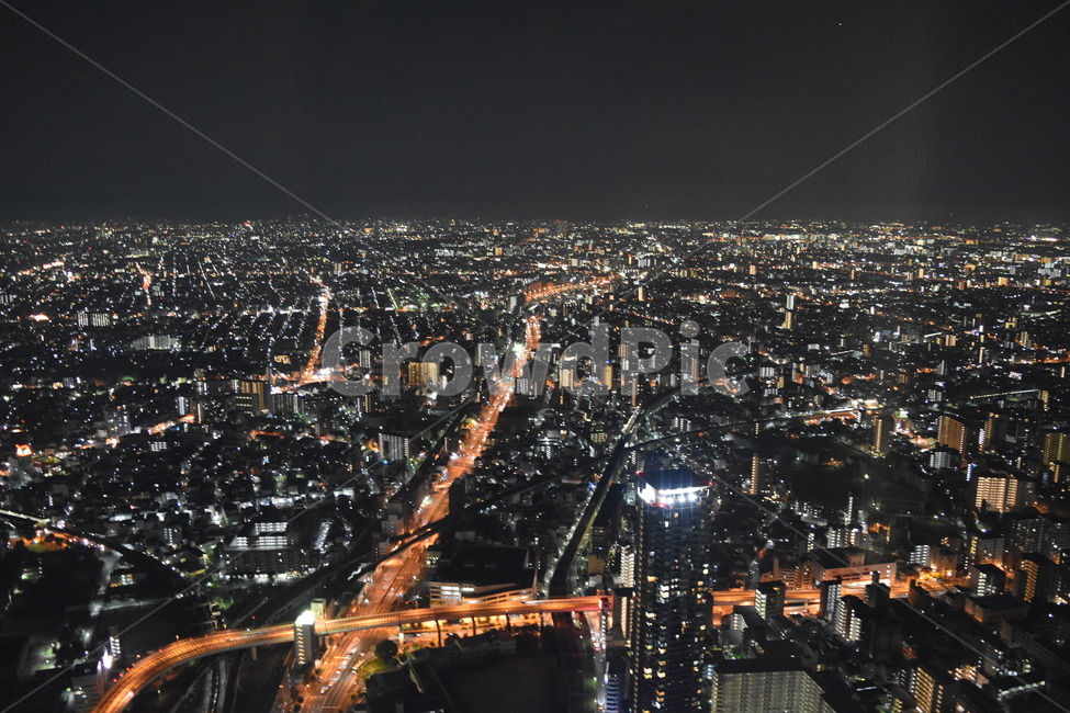 도심,밤,불빛,도시,지상,야경,밤,풍경,nightscape,night,landscape,nature,자연,경치,outdoors,옥외,scenery,aerial view,조감도,road,도로