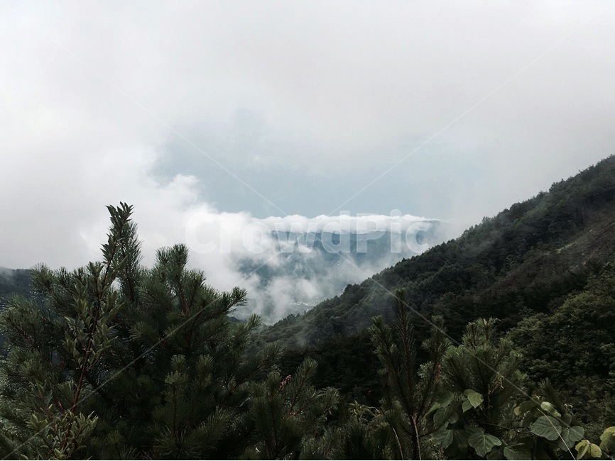 구름,하늘,비,cloud,자연풍경,운해,cloudsea