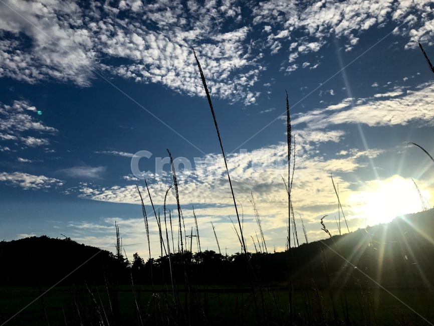 자연,여름,가을,하늘,파란색,실루엣,일몰,구름,nature,summer,autumn,fall,blue,자연,풍경,nature,landscape,light,빛,flare,플레어,sunlight,햇빛
