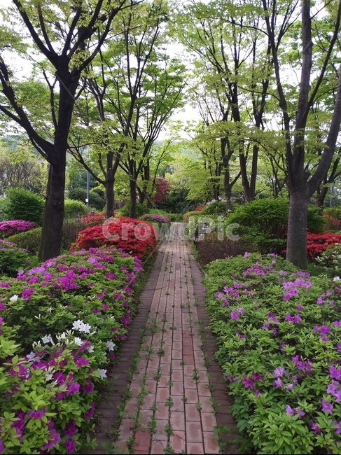 봄,공원,아파트,아파트정원,나무,휴식