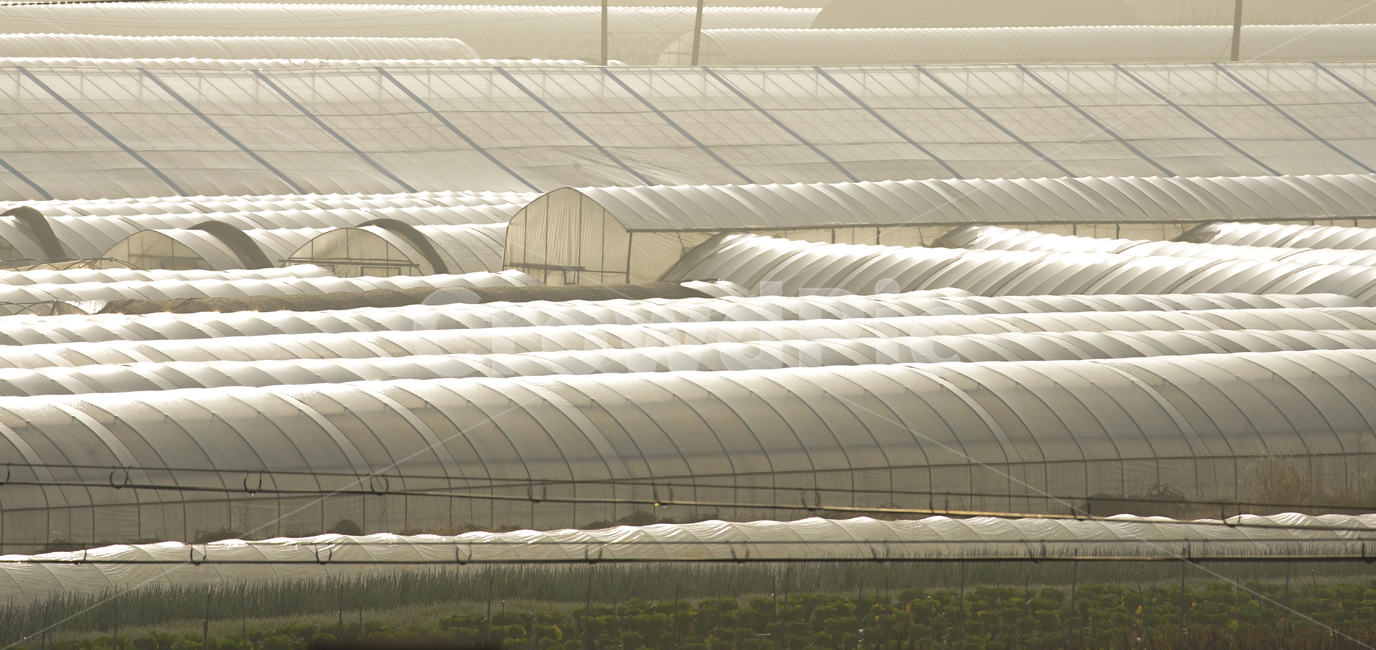 하우스,비닐하우스,농막,농사,농업,채소,야채,밭,산업,industry,industrial,농업,농사,agriculture,farming,farming industry