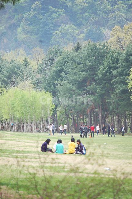 나무,들판,잔디밭,grass,잔디,plant,식물,human,인간,person,사람,친목,친구,쉼,친구,우정,friendship,companion,여행,휴가,traveling,vacation,trip
