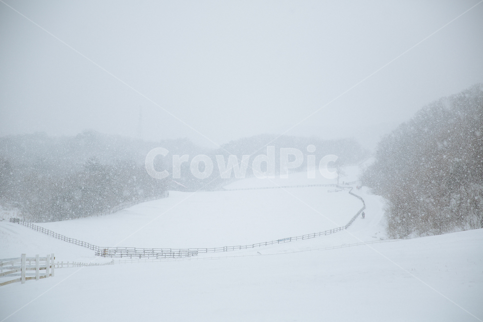 겨울,눈,풍경,감성,스냅,겨울,계절,winter,season,자연,풍경,nature,landscape,storm,폭풍,snow,blizzard,눈보라,outdoors,옥외