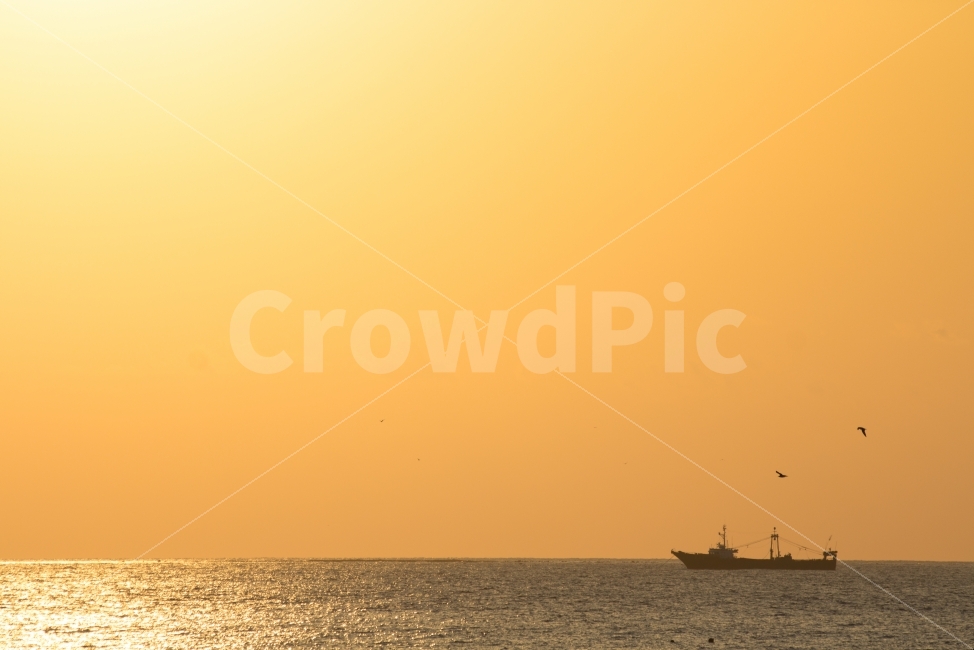 제주,바다,노을,배,풍경,자연,풍경,nature,landscape,교통,교통수단,traffic,transportation,vehicle,차량,watercraft,선박,boat,보트