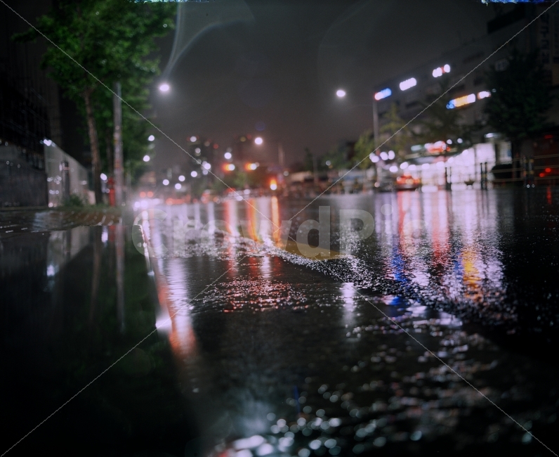 장마,보케,필름사진,야경필름,필름감성,감성사진,비,비오는날,rain,rainy,도시,풍경,city,landscape,야경,밤,nightscape,night,감성,sensible,feeling,light,빛,flare,플레어