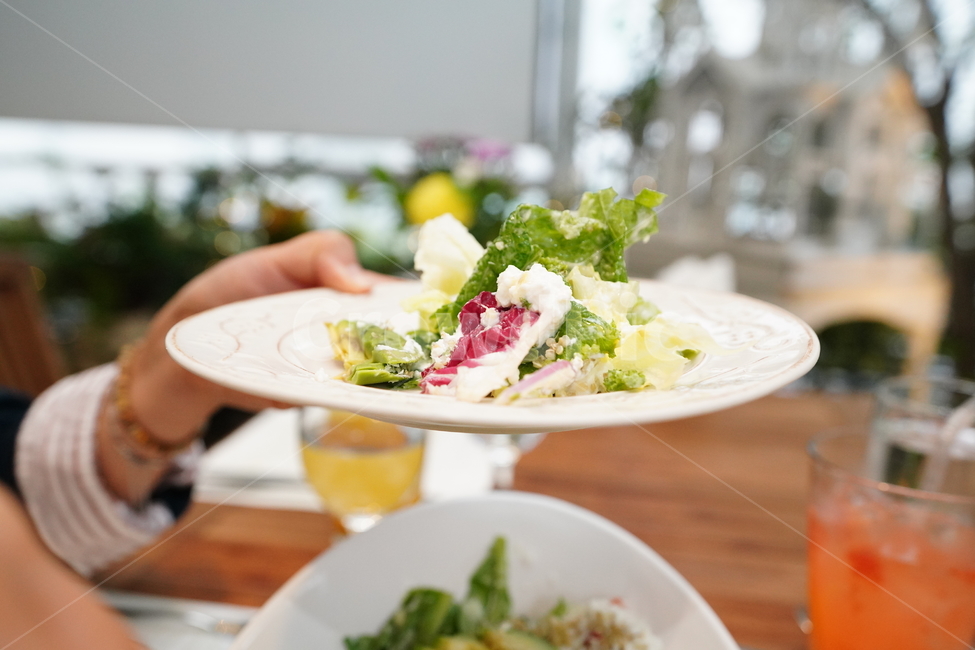 샐러드,salad,색감,아보카도,야채,채소,계란,건강,식단,식사,음식,푸드,접시,컬러,외식,건강,헬스웨어,헬스케어,healthware,health care,음식,식재료,요리,food,cook,meal,dishes,food reserves