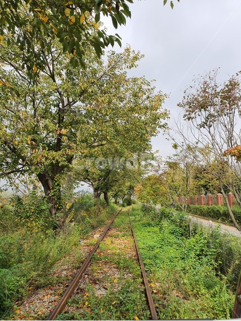 레일,경치,가을,fall,rail