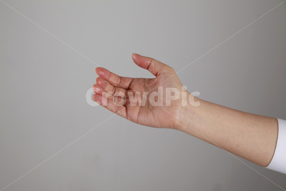 핸드폰잡은손,손,손모양,손가락,핸드폰거치,신체일부,몸,body,손,제스처,표시,손짓,표현,gesture,hand,sign,expression