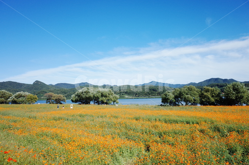 자연,풍경,하늘,공원,절경,야외,가을,계절,fall,autumn,season,자연,풍경,nature,landscape,field,들,outdoors,옥외,grassland,목초지,rural,농촌,farm,농장,meadow