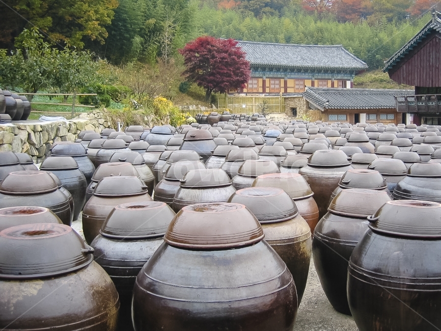 장독,장독대,서운암,통도사,crock,한국,전통,향토,tradition,한국전통,한국문화,korean traditional,korean culture