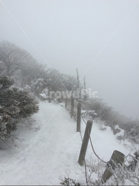 눈,겨울,설산,설경,한라산,눈내린산,눈오는산,산,풍경,산풍경,눈풍경,겨울,계절,winter,season