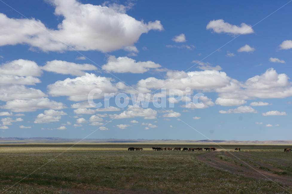 하늘,sky,초원,grassland,구름,cloud,몽골,mongolia,자연,풍경,nature,landscape,해외,외국,세계,foreign,oversea,world,세계자연풍경,해외자연풍경,외국자연풍경,world nature landscape,outdoors,옥외,목초지,field,들,weather,날씨