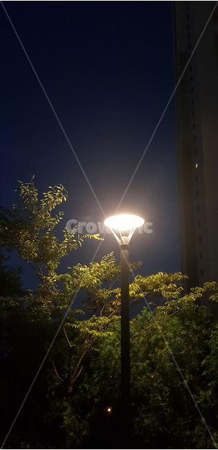 가로등,나무,저녁,불빛,어둠