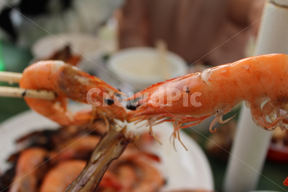 새우,대하,젓가락,캠핑,뽀뽀,음식,식재료,요리,food,cook,meal,dishes,food reserves,수산물,해산물,fishery products,seafood