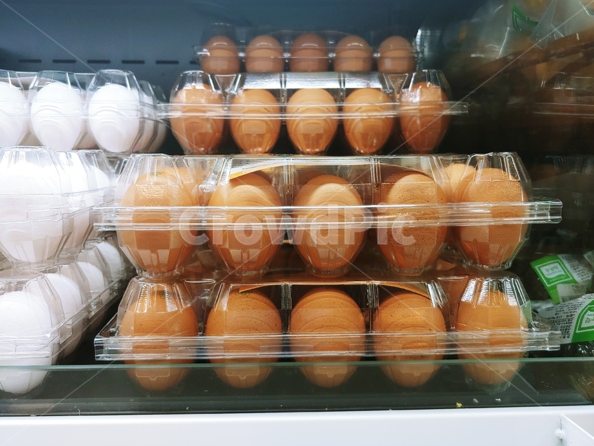 음식,청과,요리,재료,계란,달걀