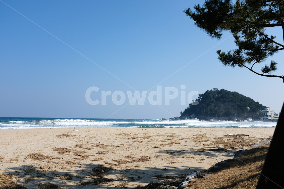 바닷가,겨울바다,강원도,양양,파도,모래,해변,land,sea,바다,water,물,해안선,자연,outdoors,nature,shoreline,자연,풍경,nature,landscape