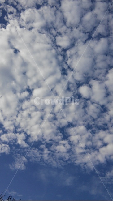 하늘,구름,배경,가을,sky,자연,나무,blue