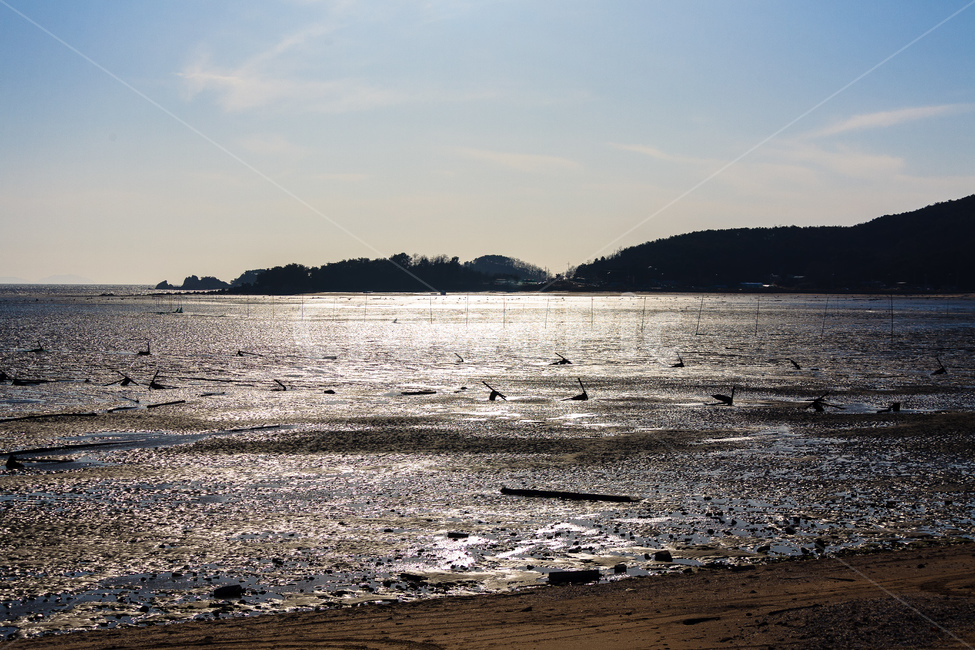 바다,대양,바닷가,파도,서해,자연,풍경,nature,landscape,adventure,모험,leisure activities,레저 활동,ocean,water,물,outdoors,옥외,sea