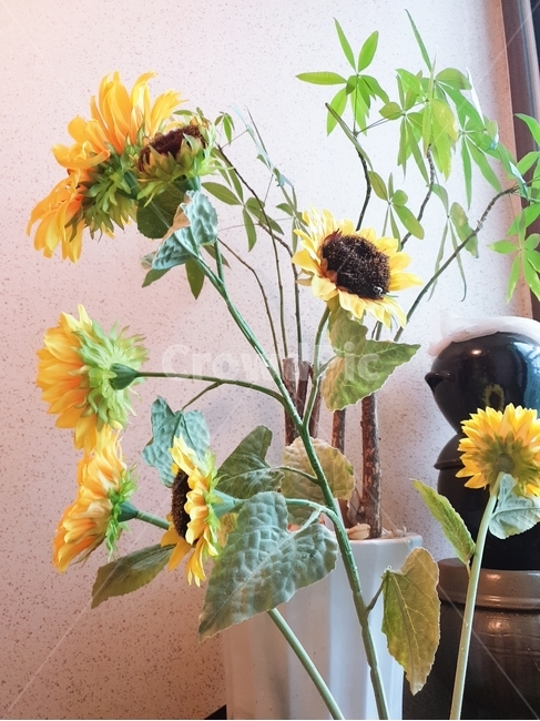 plant,식물,blossom,꽃,flower,pottery,vase,미술,장식,flowerarrangement,꽃,flower
