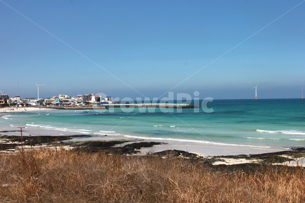 해변,바다,파도,월정리,제주도,beach,sea,wave,jejuisland