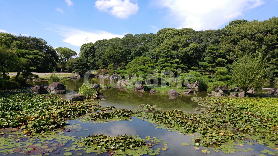 water,물,land,outdoors,옥외,nature,자연,호수,경치,풍경,초록,green,일본