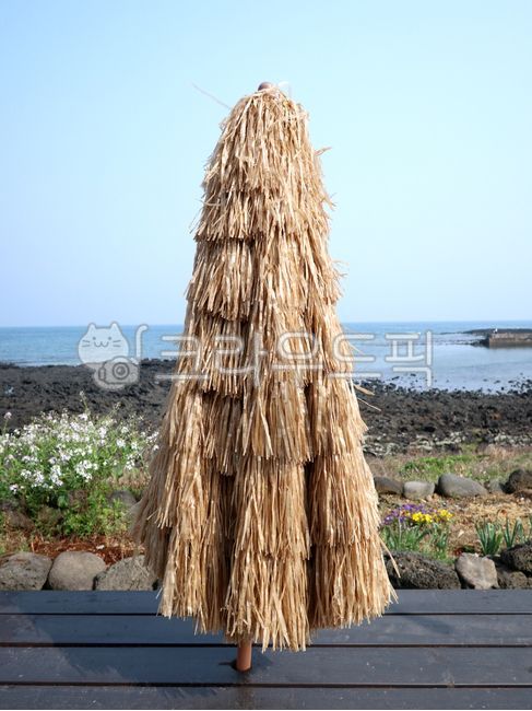 제주도,제주,바다,바닷가,jeju,jejudo,sea,ocean,파라솔,parasol