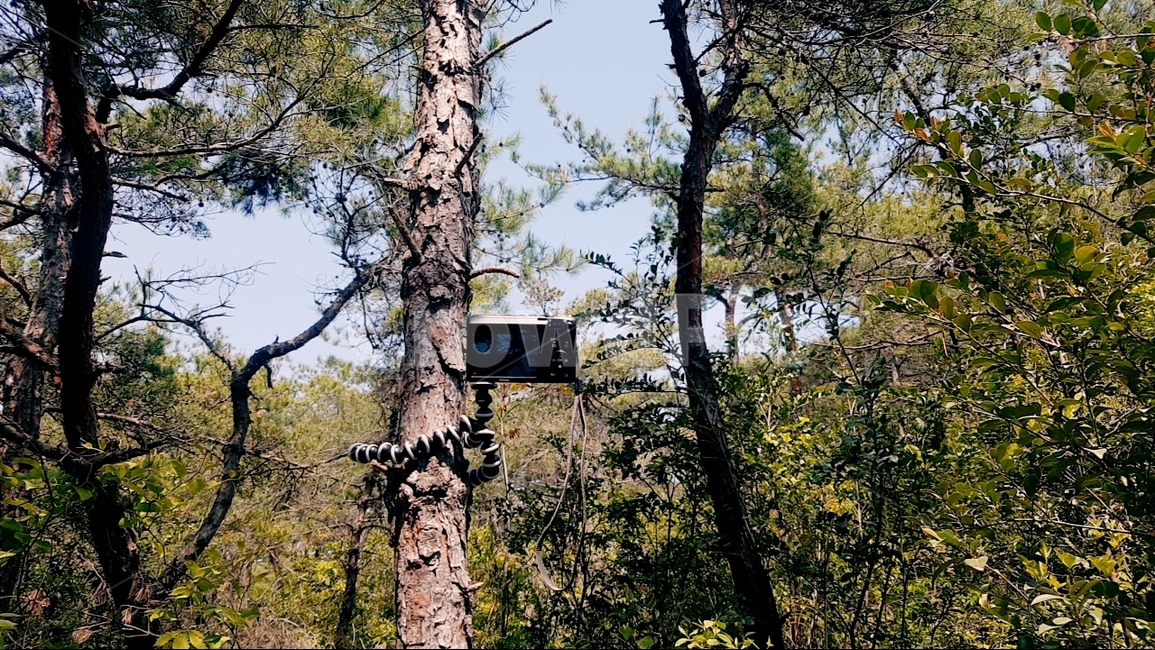 카메라,사진,산,촬영,사진기,나무,풀,숲,산속,식물,자연,plants,nature,나무,trees,wood,사진작가,포토그래퍼,photographer,사물,물건,오브젝트,thing,object,matter
