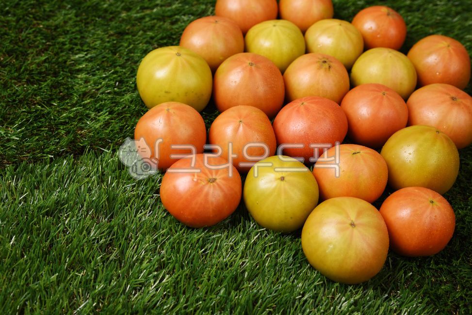 Tomato Dishes,fruit,tomato,vegetable,food