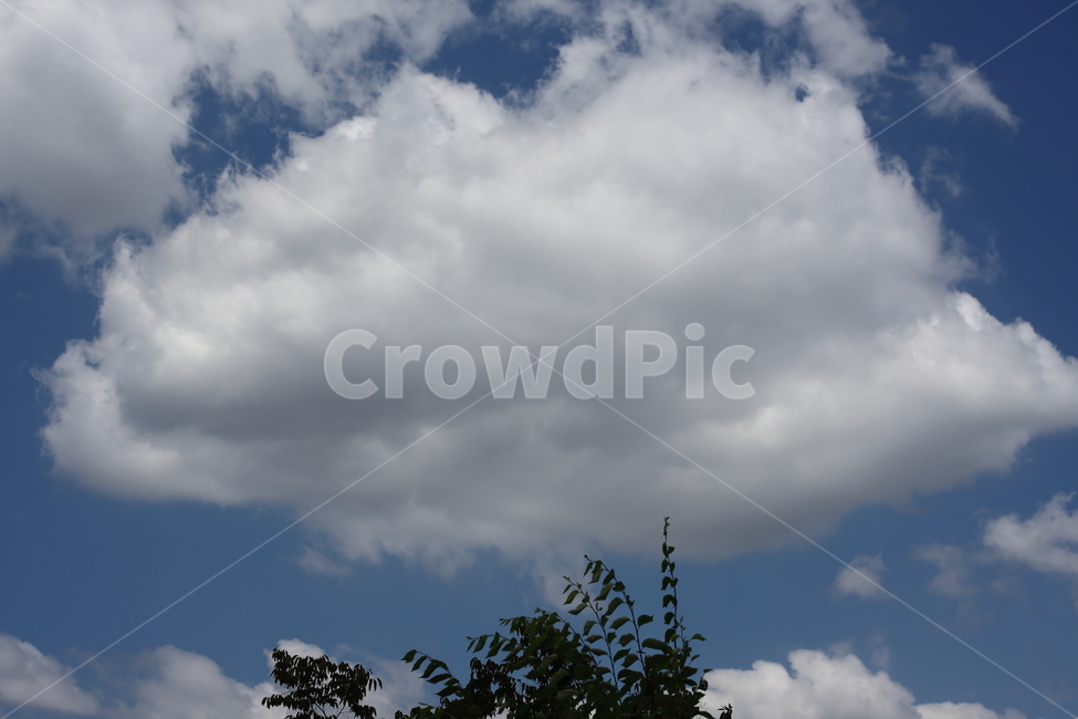 구름,나무,하늘,cloud,sky