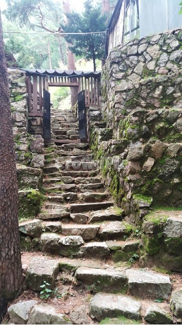 staircase,계단,정원,garden,돌계단,숲길,대문