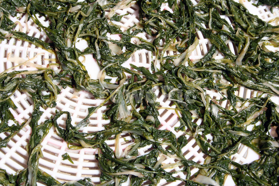 나물,나물말리기,삶은나물,식재료,자연식품,음식,식재료,요리,food,cook,meal,dishes,food reserves