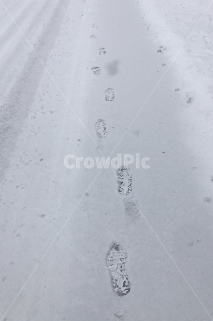 발자국,눈,흔적,눈길,stepbystep,겨울,계절,winter,season