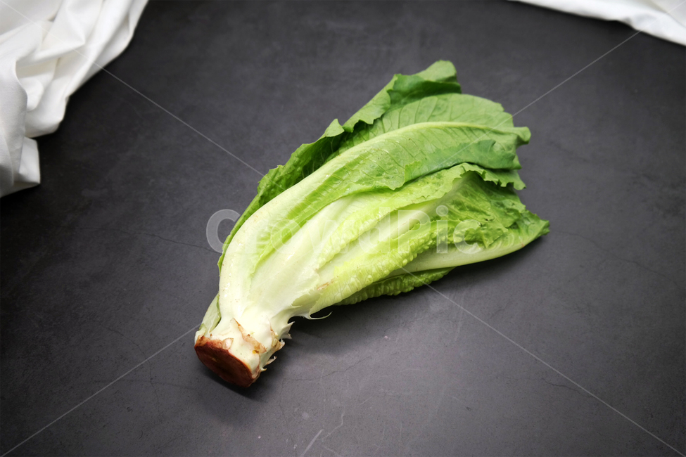 채소,야채,상추,로메인,샐러드,녹색,건강,채식주의자,채식,vegetable,lettuce,건강,헬스웨어,헬스케어,healthware,health care,채소,야채,vegetables