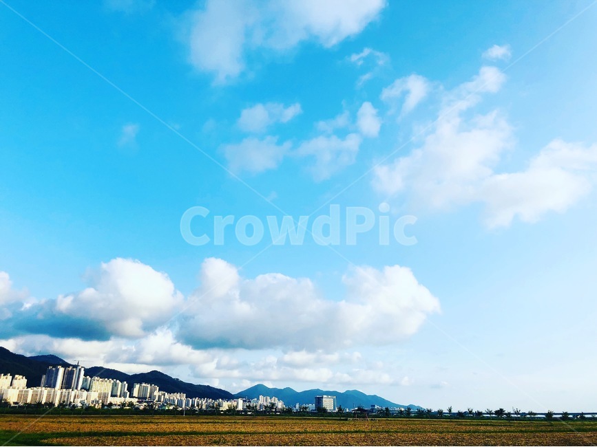 맑음,하늘,구름,공원,도심,도시,풍경,city,landscape,nature,자연,weather,날씨,outdoors,옥외,sky,cloud,cumulus,적운