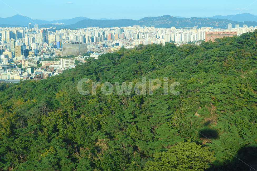 남산,케이블카,남산타워,서울타워,서울,하늘,초록,파랑,도시,빌딩,산,숲,그림자,아파트,현대건축,풍경,경치,landscape,scenery,초목,식물,plant,rainforest,land,땅,tree,나무,도시,풍경,city,landscape,한국도시풍경,한국도시경관,korea cityscape,nature,자연,outdoors,옥외,vegetation,열대 우림