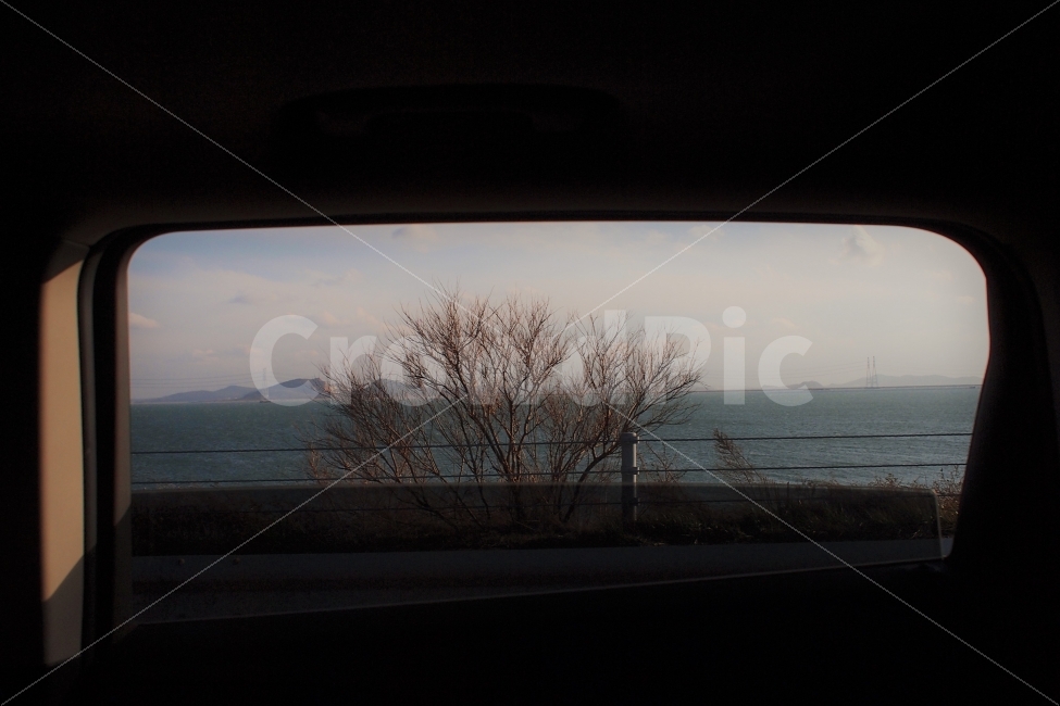바다,창밖,액자,감성,필름,쓸쓸함,아련함,적막함,겨울,빛바랜,자연,풍경,nature,landscape,식물,plants,나무,trees,wood