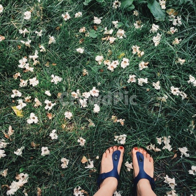 꽃밭,공원,힐링,휴식,feet,park,flower,피크닉,여유,잔디밭
