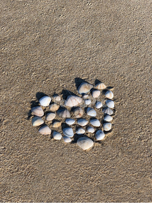 조개,조개껍질,하트,모래사장,모래,바다,sand,sea,sandybeach