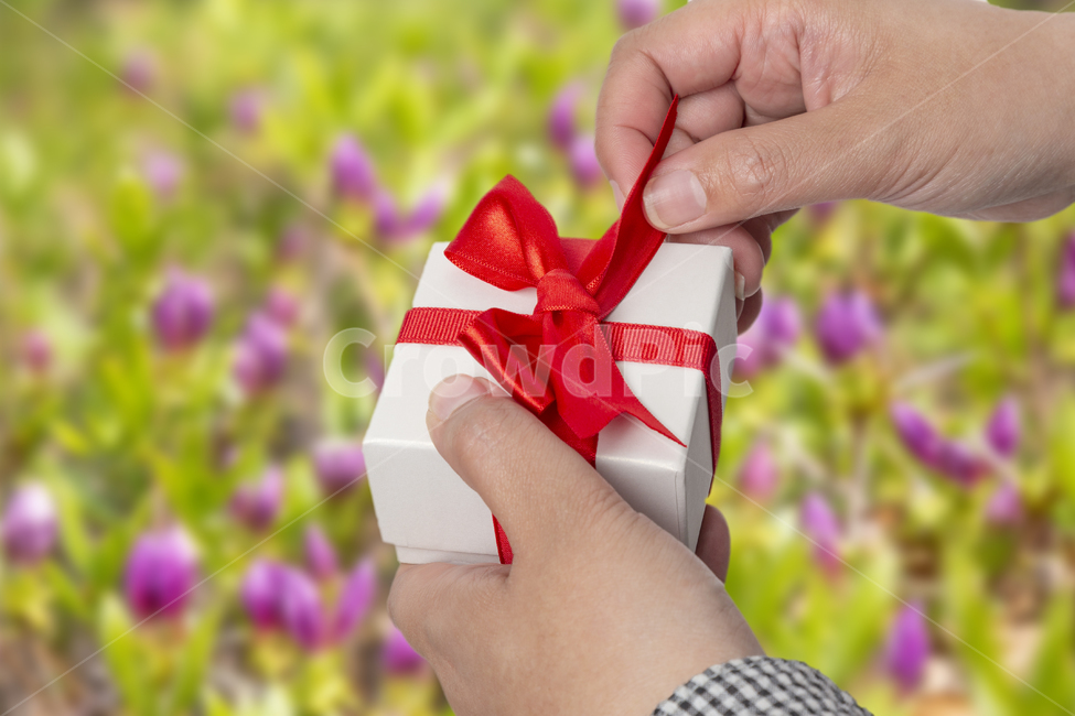 선물박스,선물,손동작,축하,감사,행복,발렌타인,기념일,기념일,축하,anniversary,congratulation,celebrate,celebration