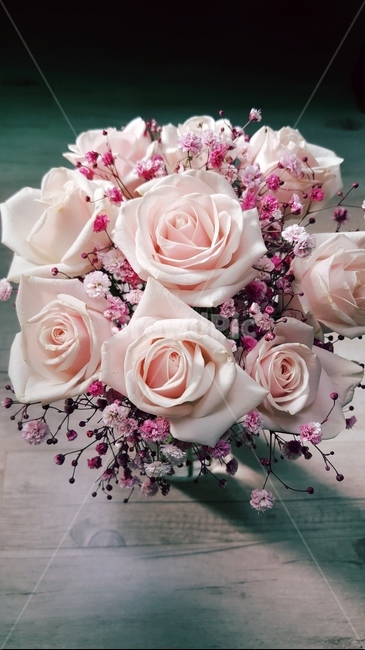 식물,꽃꽂이,꽃,blossom,꽃부케,핑크장미,꽃다발