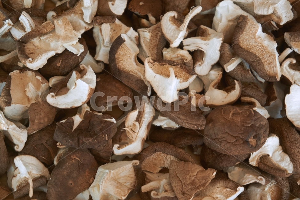 버섯,표고버섯,마른,건조,식품,잘린,말리다,채소,야채,맛,다이어트,영양,맛있는,음식,편식,버섯,mushroom,음식,식재료,요리,food,cook,meal,dishes,food reserves