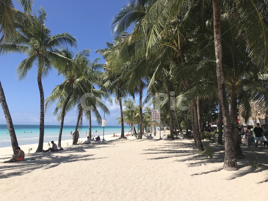 보라카이,해변,에메랄드,바다,해변가,모래사장,자연,풍경,여행,travel,구름,하늘,야자수,나무
